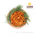 Flor ISO22000 Healthy Frozen Cordyceps